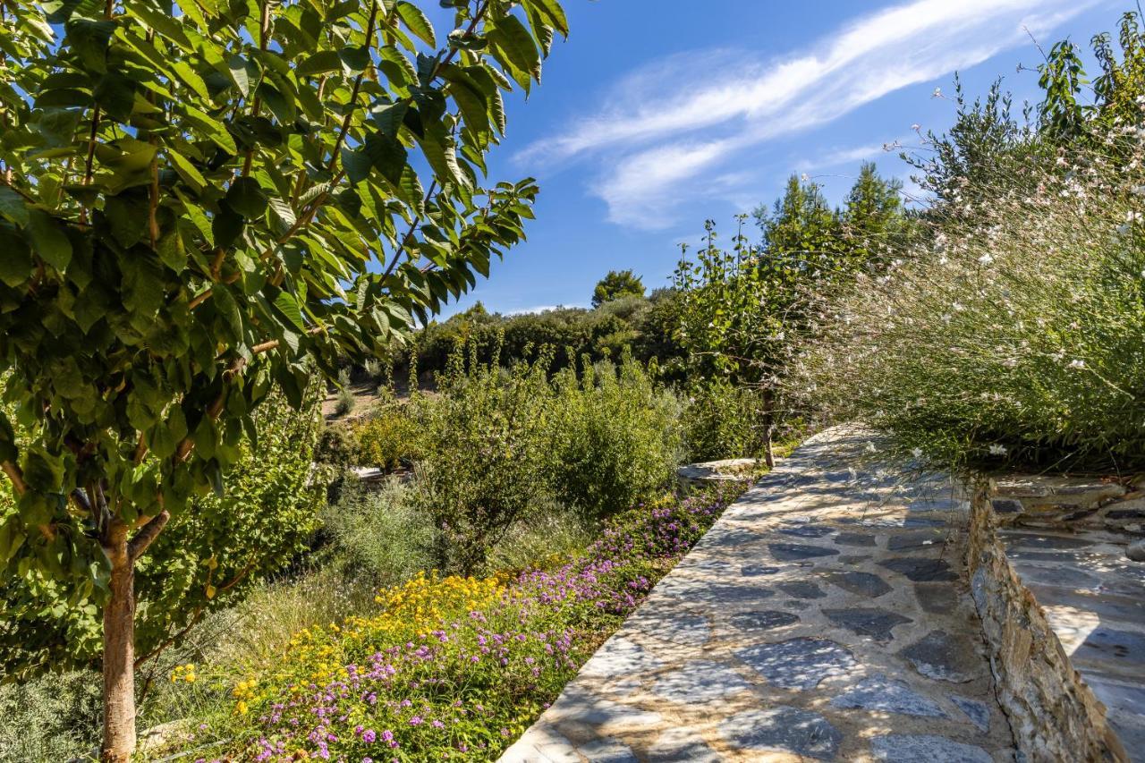 Villa Politimi Luxury Retreat Città di Skopelos Esterno foto
